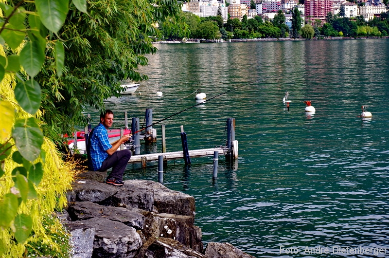 Montreux - Angler