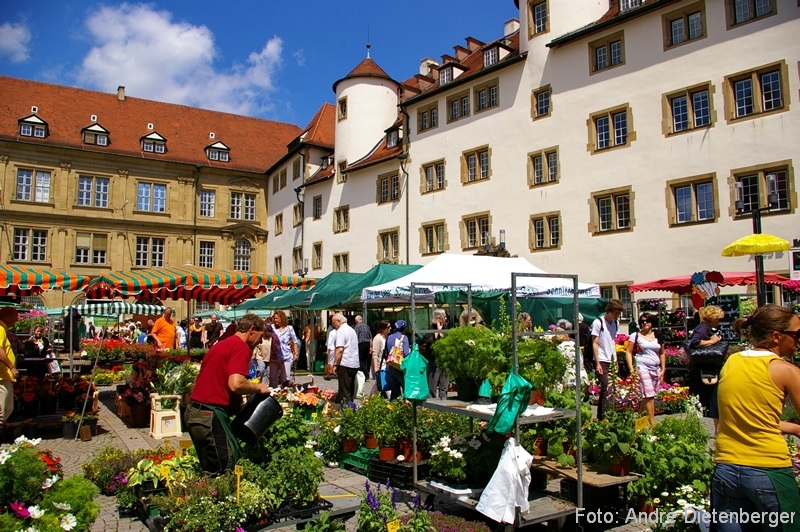 Stuttgart - Marktplatz