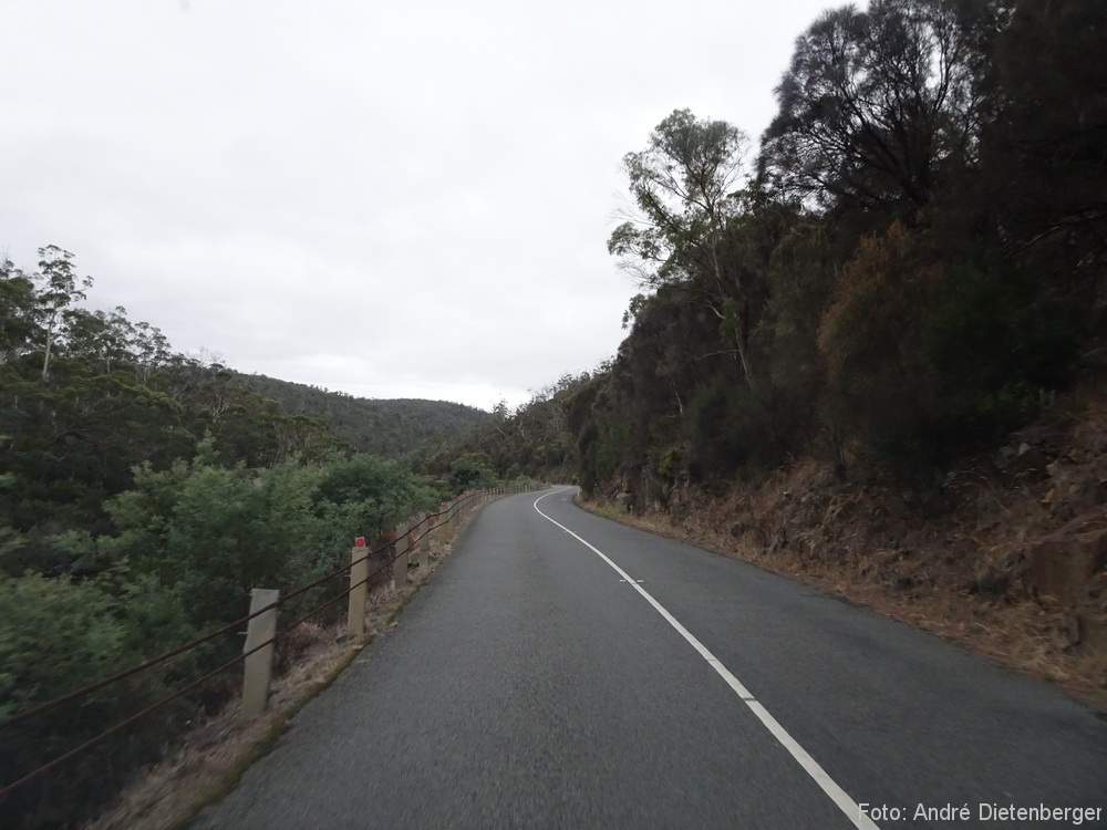 typische Tasmanische Straße