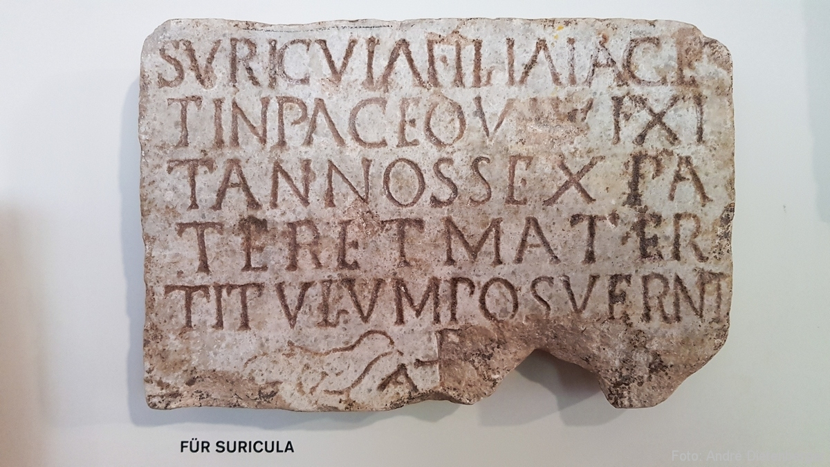 Grabmahl Suricula