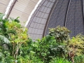 Tropical Islands Regenwald und Halle