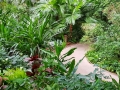 Tropical Islands Regenwald Weg