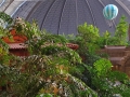 Tropical Islands Regenwald, Ballon und Halle