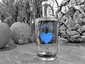 Wassersommelier - Steigenberger Stilles Wasser