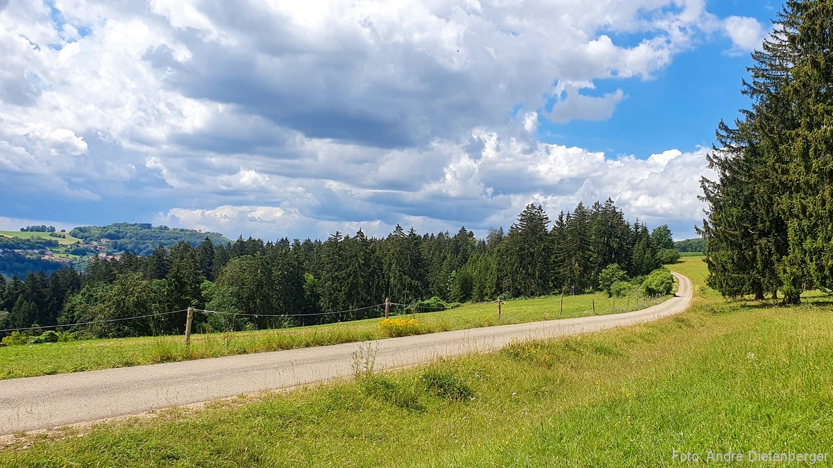 Wandern